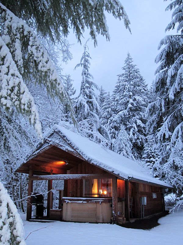 Mt. Rainier National Park Lodging Romantic Rainier Cabin at Mt